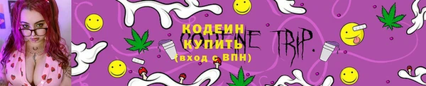 шишки Заволжье